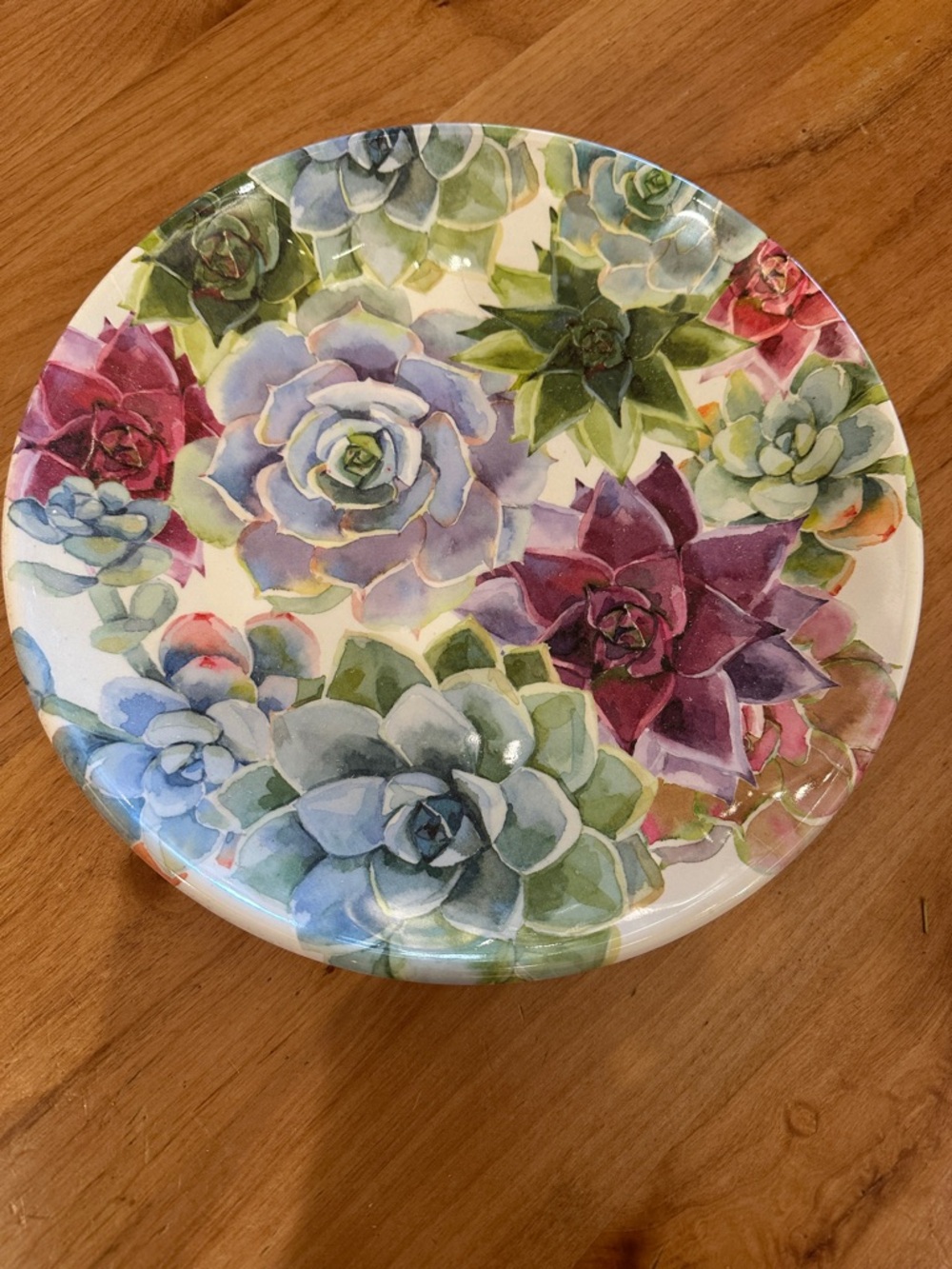 Colorful Succulent PlasticAccent Plate - Multi-Color
